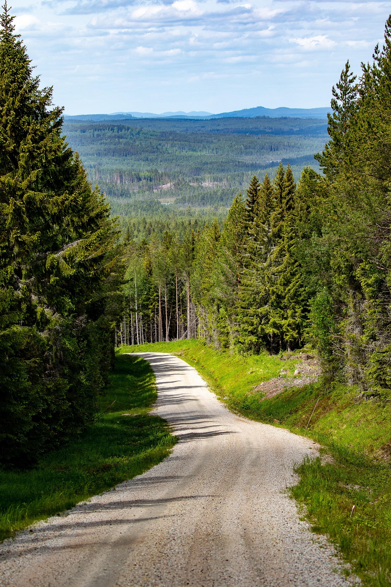 Amicale des Myrtilles_Gorges de l'Ain 3